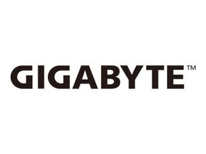 Gigabyte GeForce RTX 3080 TURBO 10G (rev. 2.0) - Turbo Edition - Grafikkarten - GF RTX 3080 - 10 GB