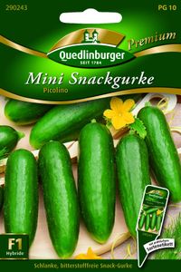 Quedlinburger Saatgut - Mini-Snackgurken Picolino - Samen - 290243