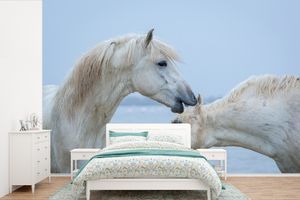 MuchoWow® Fototapete für Wohnzimmer oder Schlafzimmer Wandtapete Vinyl Motivtapete Pferd flüstert einem anderen Pferd in der Camargue etwas zu - 330x220 cm - Fototapeten
