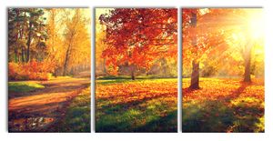Weg durch bunten Herbstwald, XXL Leinwandbild in Übergröße 240x120cm Gesamtmaß 3 teilig / Wandbild / Kunstdruck