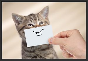 Lustige Katze mit Lächeln auf Papier im Schattenfugen Bilderrahmen / Format: 100x70 im Schattenfugen-Bilderrahmen / Kunstdruck auf hochwertigem Galeriekarton / hochwertige Leinwandbild Alternative