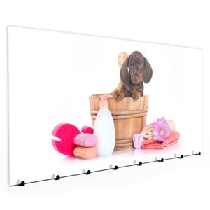 Wandgarderobe mit Magnetwand & Memoboard aus Glas Hund in Badeeimer