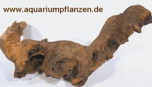 Savannenwurzel 20-30 cm, Wurzel, Aquarium, Deko