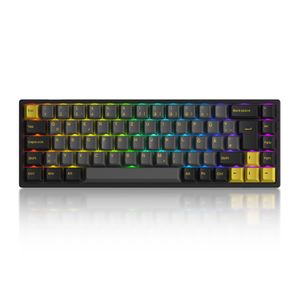 Akko 3068B Plus Schwarz & Gold RGB Mechanische Gaming Tastatur 65% Mehrere Modi ISO-DE/Nordic QWERTZ Layout (40gf Tactile Schalter)