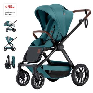 Daliya® ALPINO Buggy / Kinderwagen 0-36 Monate / Sportwagen mit Liegeposition / Schiebegriff höhenverstellbar / Türkis - Schwarz