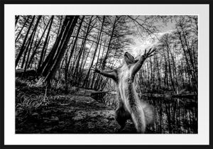 Lustiges Eichhörnchen steht im Wald, MonochromeBilderrahmen mit Galerie-Passepartout / Format: 100x70cm / gerahmt / hochwertige Leinwandbild Alternative