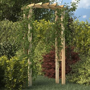 vidaXL Rose Arch 110x60x210 cm Masívne drevo Impregnovaná borovica
