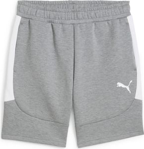 Puma teamEVOSTRIPE Shorts Herren grau heather silber Gr L