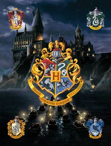 Kinderteppich Harry Potter Hogwarts 100x133 cm Kinderteppich Harry Potter Hogwarts 100x133 cm