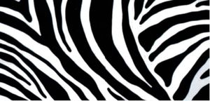 Klebefolie - Möbelfolie Zebra - schwarz weiss -  45 cm x 200 cm Wildlife
