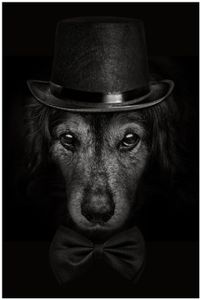 Wallario Poster - Eleganter Hund mit Zylinder in schwarz-weiß, Kunstdruck Größe: 61 x 91,50 cm