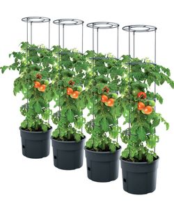 4x Tomatenpflanze Pflanzkübel Pflanzen Tomate 28L Garten Terrasse