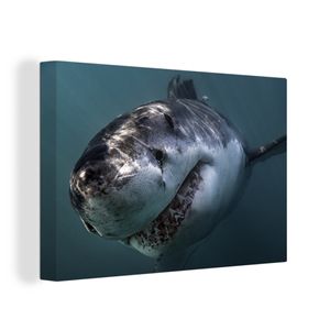 OneMillionCanvasses® - Leinwandbilder -Bild auf Leinwand Wandbild Leinwandbild Hai - Weiß - Wasser, 90x60 cm, Kunstdruck Wandkunst Wohnzimmer Schlafzimmer - Leinwänden - Fotoleinwand
