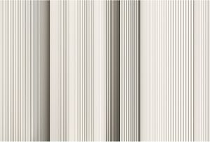 Fototapeta Tadessi | Moderní | 4,00 m x 2,70 m | Béžová | Šedá | Fototapeta | Digitální tisk