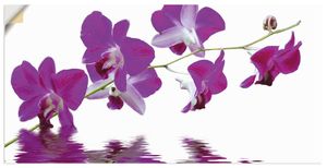 ARTland Wandbild, selbstklebend Violette Orchideen Größe: 60x30 cm