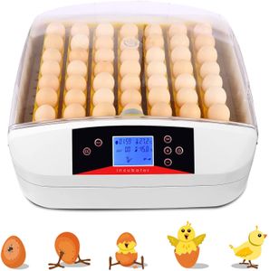 Inkubator Vollautomatische Brutmaschine, 55 Eier Intelligentes digitales Brutmaschine Brutkasten mit LED Temperaturanzeige und Feuchtigkeitsregulierung