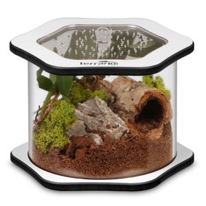 Terrario Spiders Tube Big100 - Terrarium Akrylowe