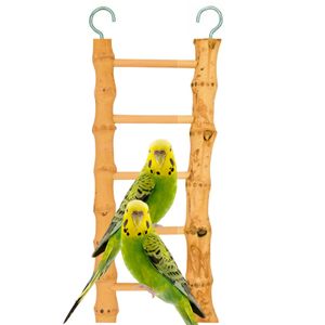Bambus-Leiter - für kleine und mittelgroße Papageien