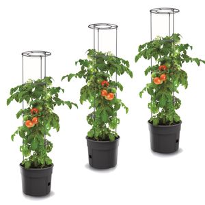 3x Tomatenpflanze aus Kunststoff Set 3 Stk Pflanzkübel 28 L Tomatenzüchter Tomatentopf Übertopf Gemüsen Tomaten Waschen
