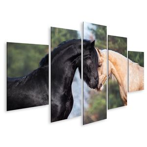 Pferde küssen nacht pferd schwarzer fries für Kinderzimmer Bilder