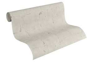 A.S. Création Vliestapete Best of Wood`n Stone 2nd Edition Tapete beige grau 10,05 m x 0,53 m 939921 93992-1