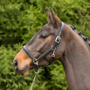 Kieffer Leder-Stallhalfter Ultrasoft®, Farbe:schwarz / schwarz unterlegt, Größe:Vollblut