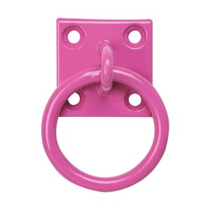 Perry Equestrian Platte mit Anbindering (2 Stück/Packung) BZ2599 (Einheitsgröße) (Pink)