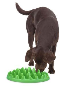 Karlie - Northmate® Green Grün 40X30X10Cm - 44079