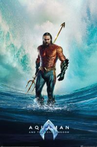 Aquaman and the lost Kingdom Poster Set Tempest 61 x 91 cm (4)