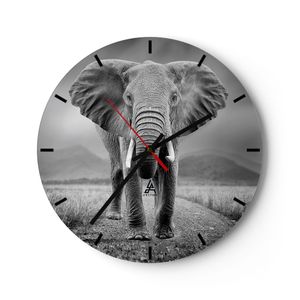 Wanduhr - Rund - Glasuhr - Elefant Wildnis Natur - 30x30cm - Schleichendes Uhrwerk - Lautlos - zum Aufhängen bereit - Dekoration Modern - Wanddekoration aus Glas - C3AR30x30-4966
