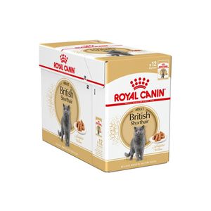 Royal Canin Feline Breed Health Nutrition British Shorthair 12 x 85 g
