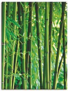 ARTland Leinwandbilder Bambus III Größe: 45x60 cm