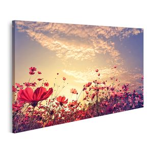 Bild Bilder auf Leinwand Landschaft Natur Hintergrund des schönen rosa und roten Kosmos Blumenfeld mit Sonnenschein Vintage Colo Wandbild Poster Leinwandbild QBRI