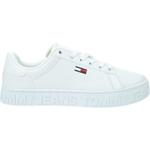 Tommy Hilfiger Boty EN0EN02042YBR