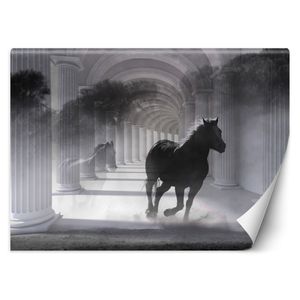 Pferde fototapete - Die hochwertigsten Pferde fototapete im Vergleich