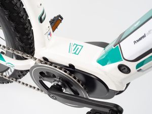 29 Zoll ebike Elektrofahrrad Pedelec MTB E-Bike Modell 2022 e-Fionna 5.7 Crussis 13Ah 468Wh 80Nm 250W Rahmenhöhe 17"(42,3 cm) Weiß/Türkis