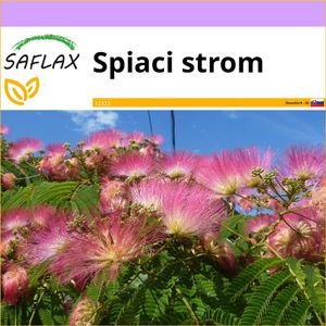 SAFLAX - spiaci strom - Albizia julibrissin - 50 Semená
