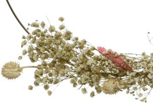 Metallringe mit Trockenblumen 34cm & 24cm natur weiß / gold 2er Set
