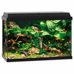 Aquarium JUWEL Primo 70 mit LED-Beleuchtung, Heizer, Filter ohne Unterschrank schwarz
