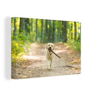 OneMillionCanvasses® - Leinwandbilder -Bild auf Leinwand Wandbild Leinwandbild Hund - Wald - Bäume, 30x20 cm, Kunstdruck Wandkunst Wohnzimmer Schlafzimmer