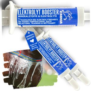 EMMA Elektrolyte Pferd 3St Vitamin Paste für Pferde Vitamin b komplex Pferd I Elektrolyte für Pferde Natrium Kalium Magnesium Pferd I Mineralfutter