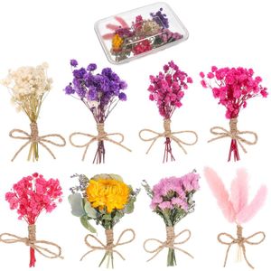 8 Bündel Mini Getrocknete Blumenstrauß, Natürliche Getrocknete Blumen Gemischte Natürliche Trockenblumen für DIY Handwerk Homedeko (1 Box)