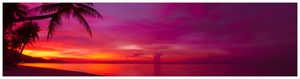 Wallario Küchenrückwand Hartschaumplatte, Größe 200 x 50 cm, Motiv: Abendrot unter Palmen - pinker Himmel am Strand