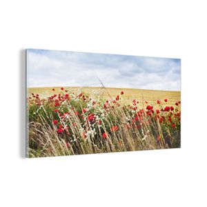Glasbild - Wandbild auf Glas - 120x60 cm - Wandkunst - Wolken - Blumen - Rot - MuchoWow