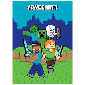 Fleecová deka Minecraft - The main characters