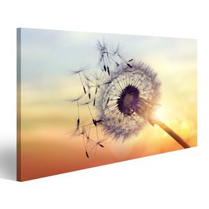 Bild Bilder auf Leinwand Löwenzahnsilhouette gegen den Sonnenuntergang mit Samen, die im Wind wehen. Wandbild Poster Leinwandbild RUN