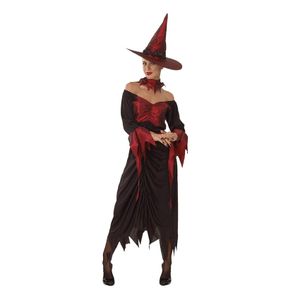 Wicked Witch Kostüm