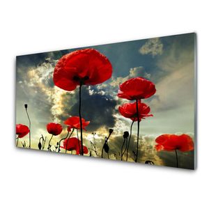 Acrylglasbilder 100x50 Wandbild Druck Blumen Steine Pflanzen 