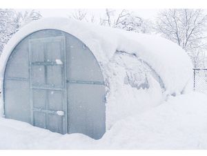 Gewächshaus KLASIKA 6 (3x2m) mit fundamenten und 6mm Polycarbonat;