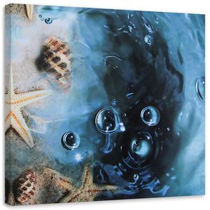 Feeby Wandbild auf Vlies Muscheln Meer Natur Wasser 30x30 Leinwandbild Bilder Bild